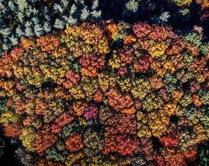 Herbst in Norddeutschland